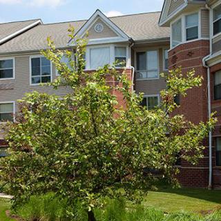 A leafy tree stands in front of a multi-story apartment building with brick and siding exterior.