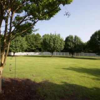 A lush backyard with a well-maintained lawn and several trees, bordered by a white fence on a sunny day.
