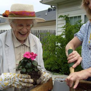 An elderly woman joyfully engages in gardening, holding a flower ready to be planted outdoors.