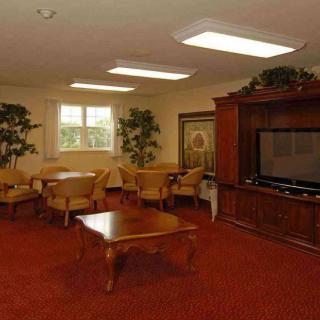 A cozy living room with a television, wooden furniture, and decorative plants.