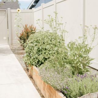 A neatly organized garden with a variety of plants in a raised bed alongside a light-colored fence.