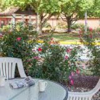 A peaceful garden setting with a table and chairs surrounded by vibrant flowers.