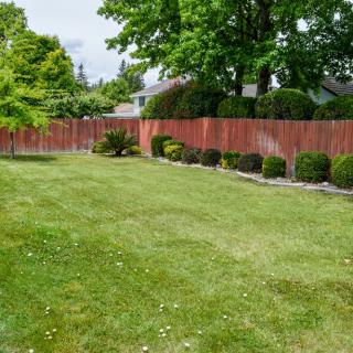 A well-maintained lawn with a wooden fence and neatly trimmed shrubs.