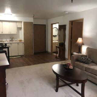A cozy apartment living room with an adjacent kitchen area.
