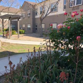 A school building with flowers in the foreground under a clear blue sky.