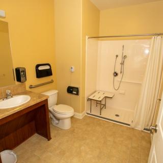 An accessible bathroom with a walk-in shower, toilet, and sink.