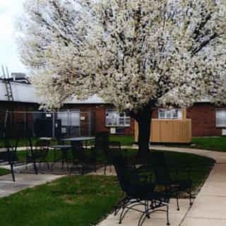 A peaceful courtyard featuring a blossoming tree and patio furniture, indicating the arrival of spring.