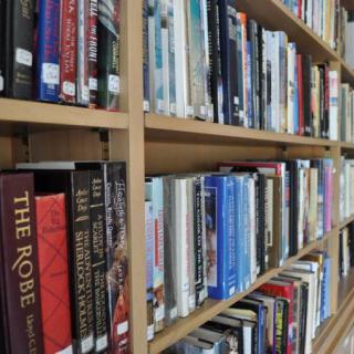 Books lined up on a library shelf.