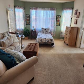 A cozy living space featuring a blend of a living room and bedroom.