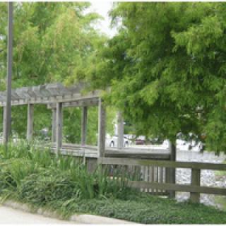 A serene park setting with lush greenery and a wooden pathway.