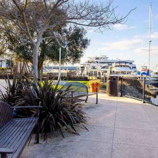 A scenic view of a marina with boats docked along the harbor and benches under trees on a sunny day.