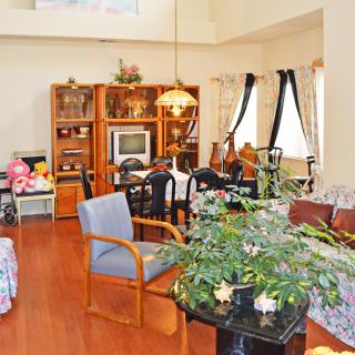 A cozy living room with a dining area, decorated with plants and wooden furniture.