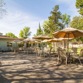 A sunny outdoor patio with tables, chairs, and umbrellas surrounded by trees.