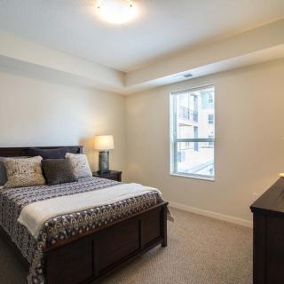 A modern bedroom with a neatly made bed, a bedside lamp, and natural light coming through the window.