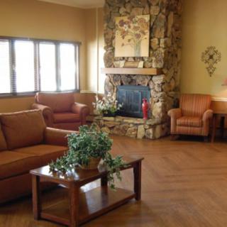 A cozy living room with sofas, a fireplace, and indoor plants.