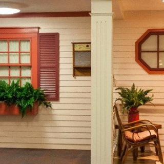 A cozy indoor decor featuring windows, plants, and a wooden bench.