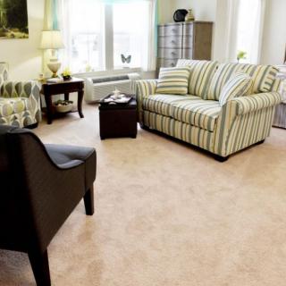 A cozy living room with a striped sofa, armchair, and coffee table on a carpeted floor.