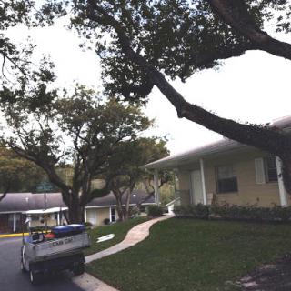 A peaceful residential scene featuring a house surrounded by trees and a neatly maintained lawn.