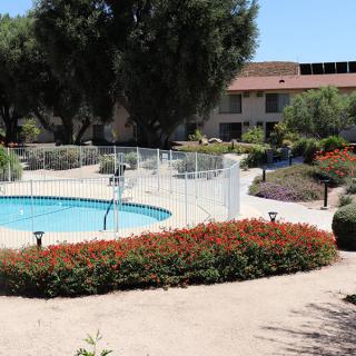 Outdoor pool area with surrounding landscaping in an apartment complex.