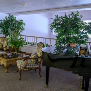 A cozy indoor lounge area with a grand piano, surrounded by armchairs, a table, and lush green plants.