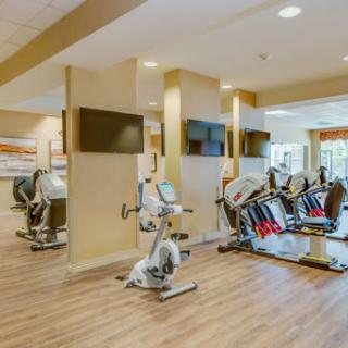 A modern gym equipped with various exercise machines for cardio workouts.
