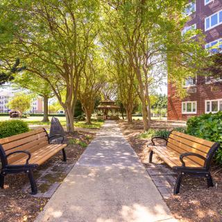 A peaceful park setting with benches along a tree-lined pathway near a building.