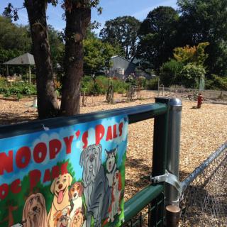 A sunny day at Snoopy's Dog Park with a colorful sign and fenced area.