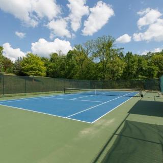 An outdoor tennis court surrounded by trees under a blue sky.