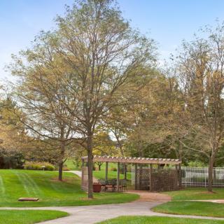 A serene park with a pergola surrounded by lush greenery and pathways.