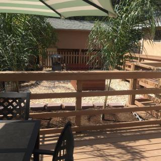 A sunny outdoor deck with seating and an umbrella, surrounded by plants.