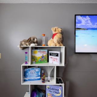 A cozy living room corner featuring a shelf with toys and books, accompanied by a television displaying a serene beach scene.