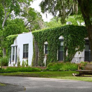 A charming house covered in lush greenery, blending beautifully with its natural surroundings.