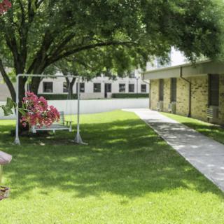 A peaceful outdoor scene with a swing set under a tree beside a pathway leading to a building.