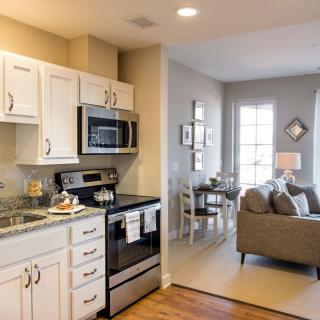A modern open-concept kitchen and living area in a cozy apartment.