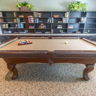 A billiards table in a cozy game room with bookshelves and plants.