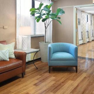 A cozy waiting room with comfortable seating and a potted plant.