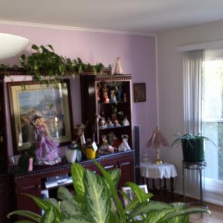 A cozy living room with indoor plants and decorative shelves.