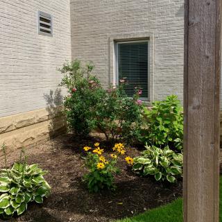 A small garden with various plants and flowers against a brick wall.