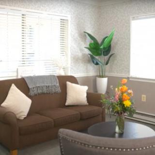 A cozy living room with a brown sofa, decorative pillows, and a potted plant near the window.