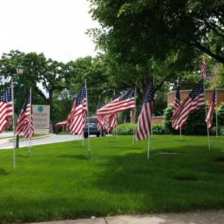 A row of American flags displayed on a grassy area with trees in the background.