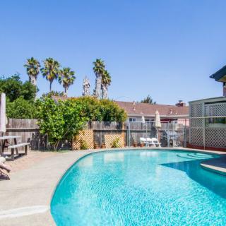 A sunny backyard with a swimming pool surrounded by trees and lounge chairs.