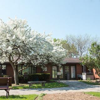 A serene house surrounded by blooming trees on a clear spring day.