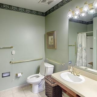 A well-lit bathroom featuring a toilet, sink, mirror, and shower with green painted walls.
