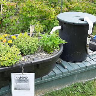 A home aquaponics setup featuring a planter filled with herbs and flowers alongside a water filtration system.