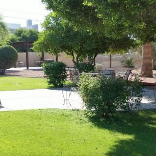 A tranquil garden setting with lush greenery, trees, and outdoor seating.