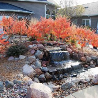 A serene garden featuring an elegant waterfall surrounded by vibrant autumn foliage.