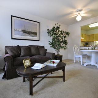A cozy living room featuring a comfortable sofa, a coffee table with decor, an indoor plant, and an adjacent dining area.