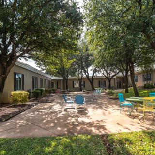 A peaceful courtyard with trees and chairs under the sunlight.