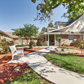 A well-maintained garden with a paved pathway leading to a house, featuring trees and a bench.