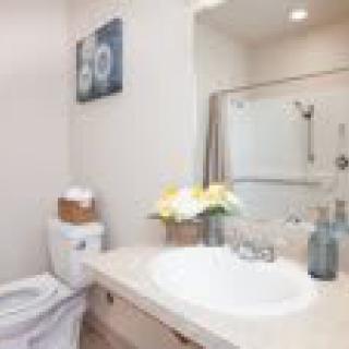 A modern and clean bathroom with a sink, toilet, and decorative elements.